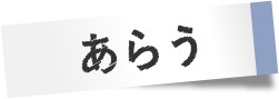 プレミアムウォッシュ工程